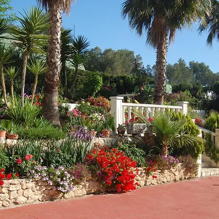 Las Orquideas Beniganim